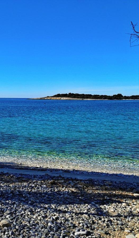 Black Pearl - Luxury Seaside App With Pool & Bbq, Istra Banjole Zewnętrze zdjęcie