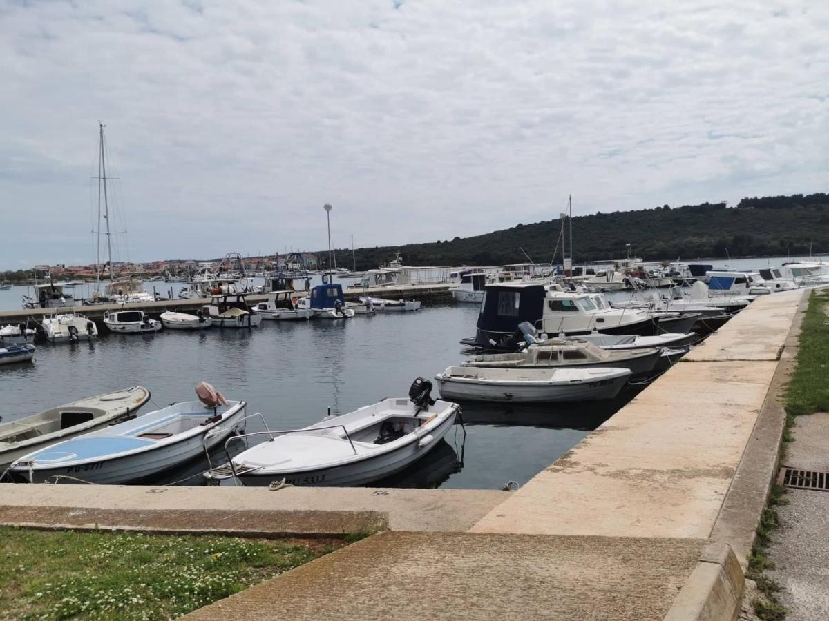 Black Pearl - Luxury Seaside App With Pool & Bbq, Istra Banjole Zewnętrze zdjęcie