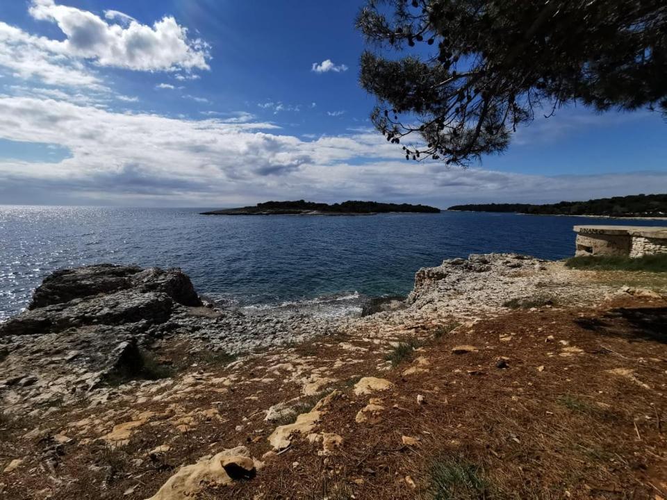 Black Pearl - Luxury Seaside App With Pool & Bbq, Istra Banjole Zewnętrze zdjęcie