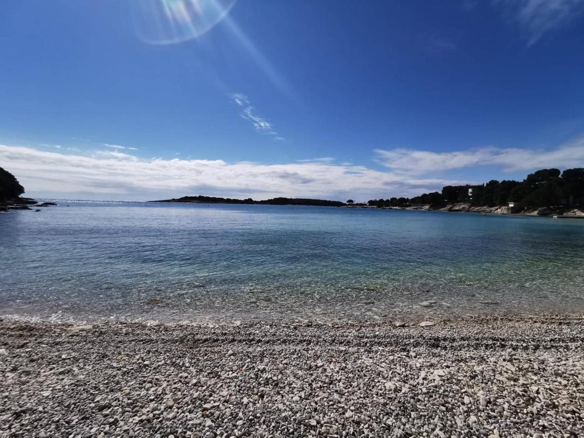 Black Pearl - Luxury Seaside App With Pool & Bbq, Istra Banjole Zewnętrze zdjęcie